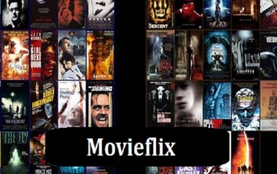 Movieflix 2022