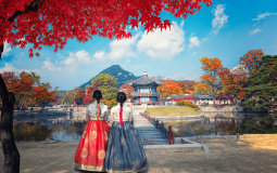 How to Become an Online English Teacher in South Korea