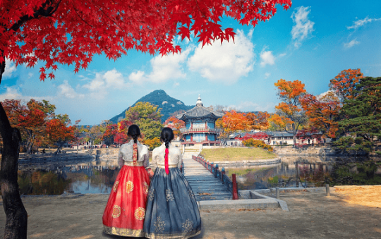 How to Become an Online English Teacher in South Korea