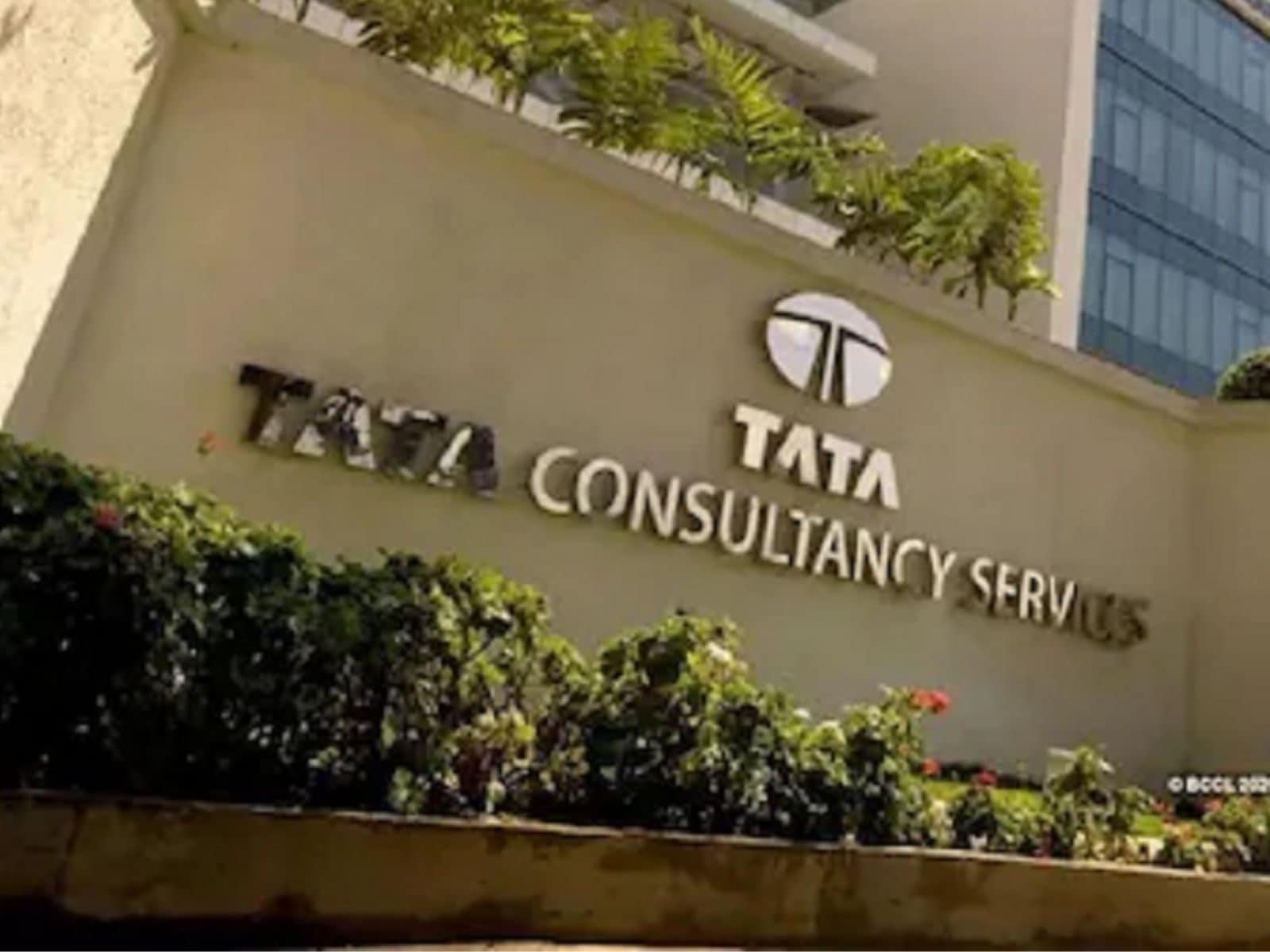 Why should I invest in TCS stocks?