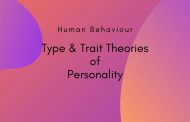 Traits vs Types: How Human Personality is structured