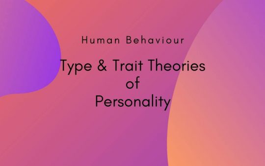 Traits vs Types: How Human Personality is structured